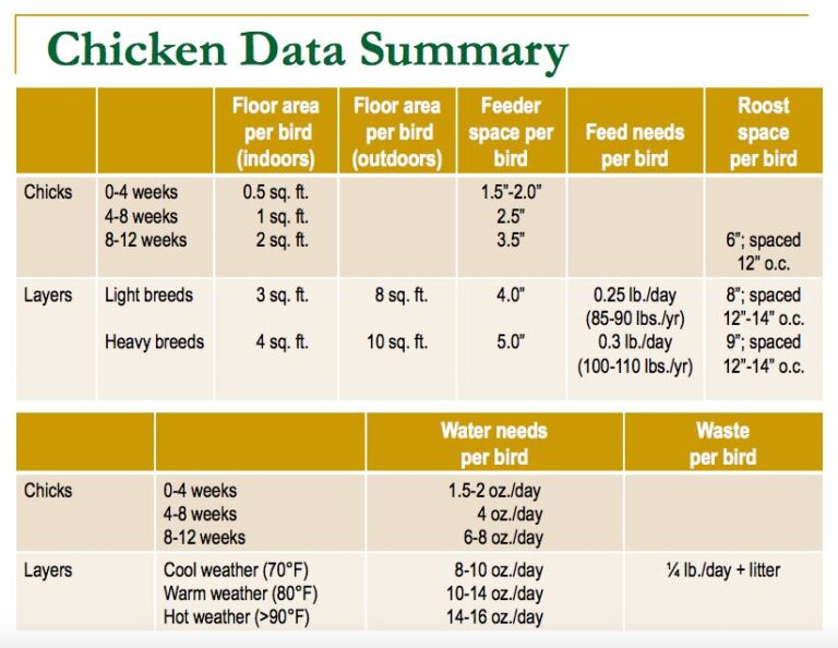 space-requirements-for-raising-chickens-american-poultry-association