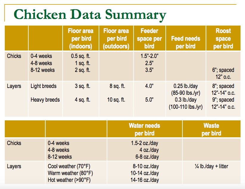 space requirements for chickens