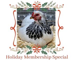 Holiday-Membership-Special-Until-Jan-2-2022.jpg