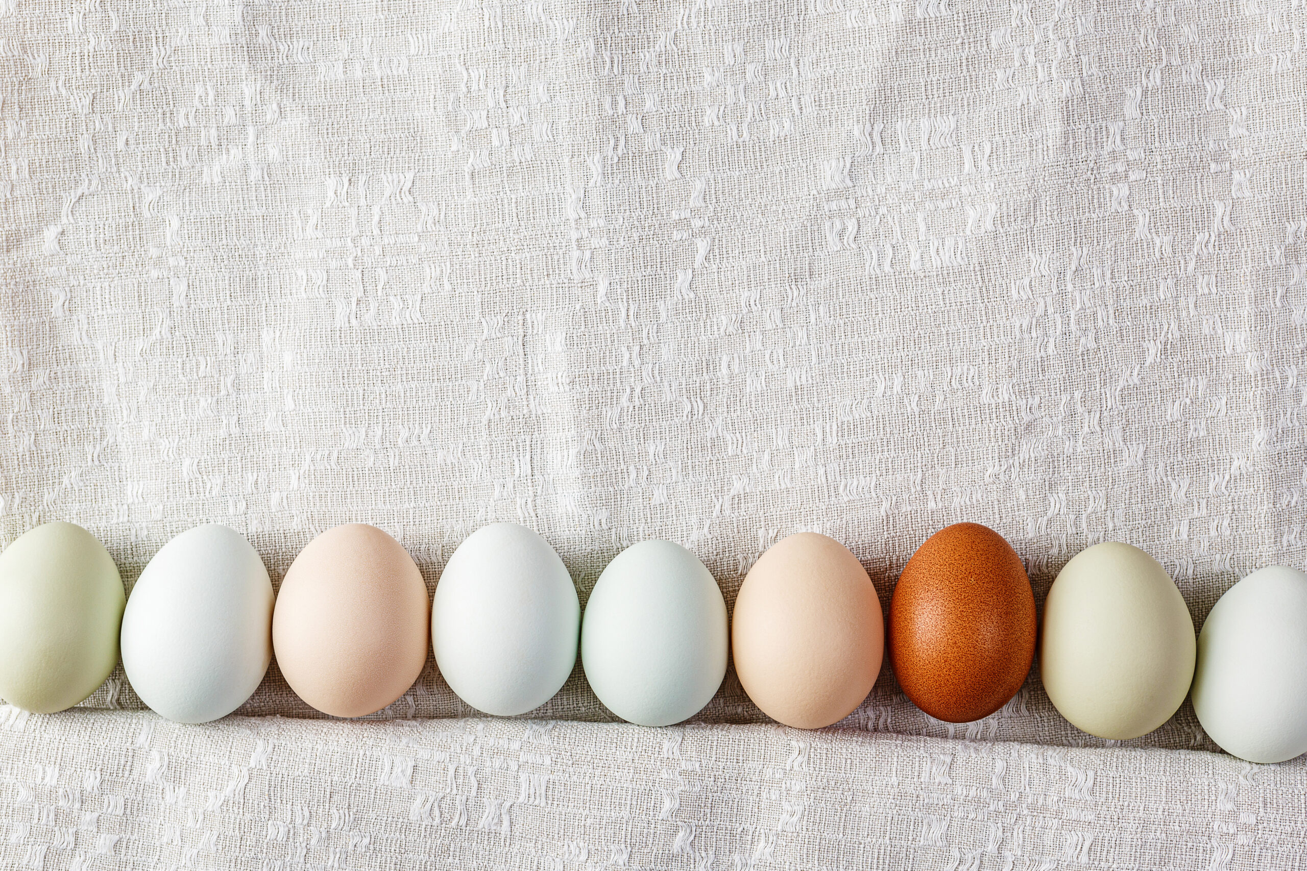 egg shows, colourful eggs