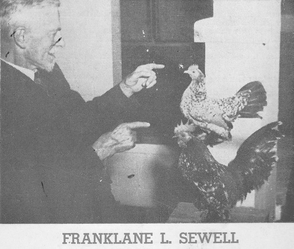 Franklane Sewell