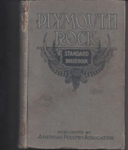 plymouth rock breed standard