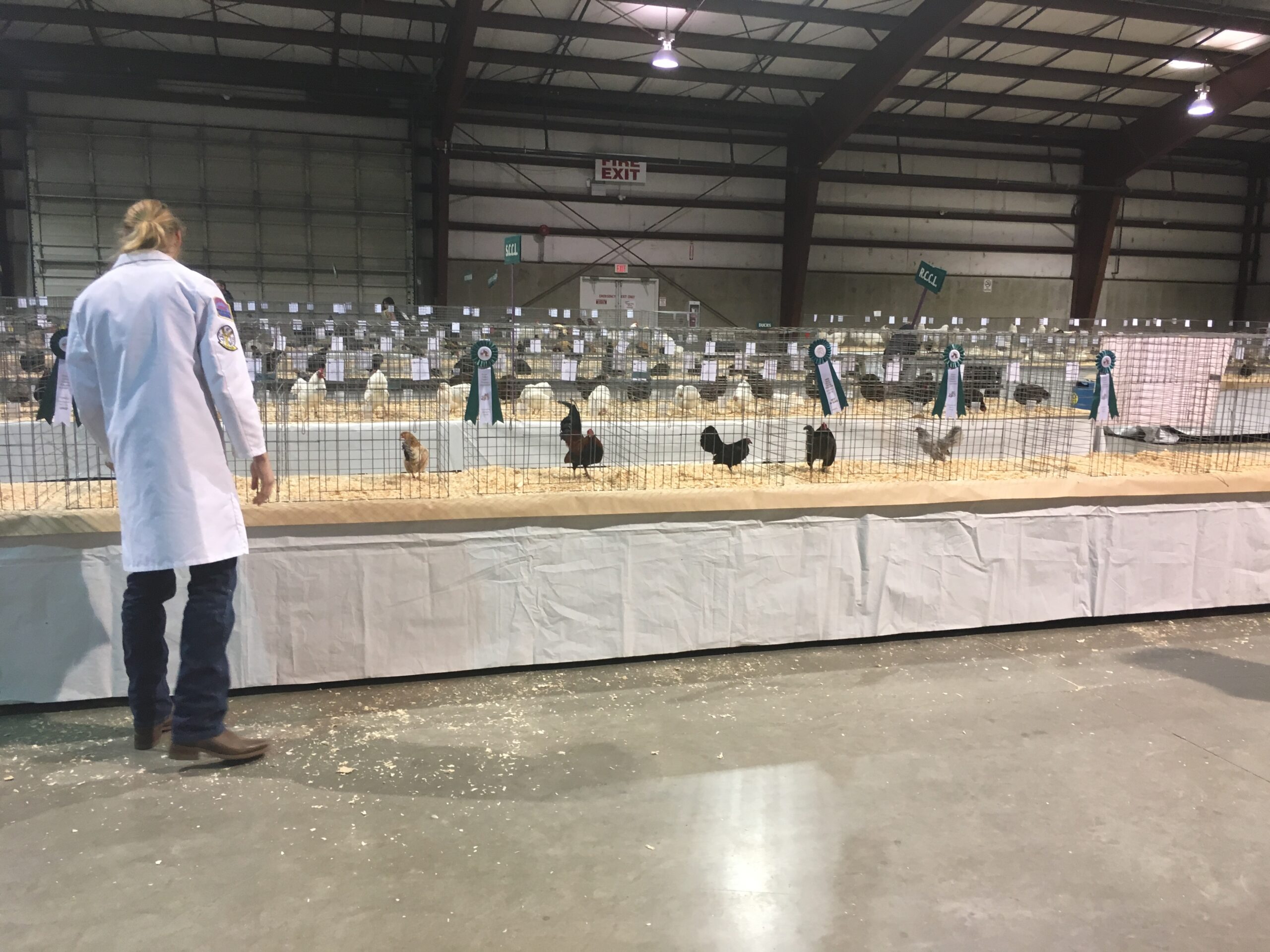poultry experience, judging
