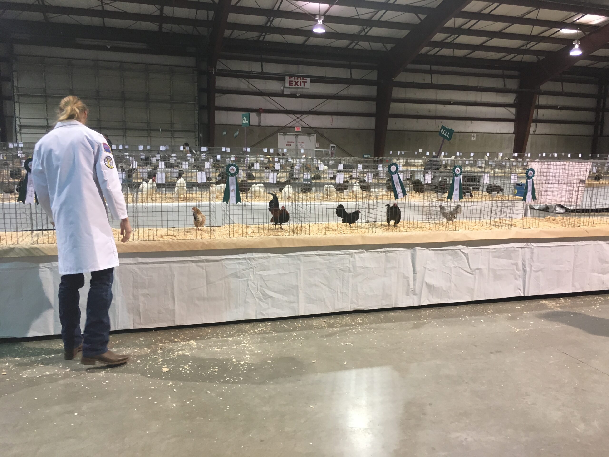 Your Poultry Show Experience Part 2 American Poultry Association