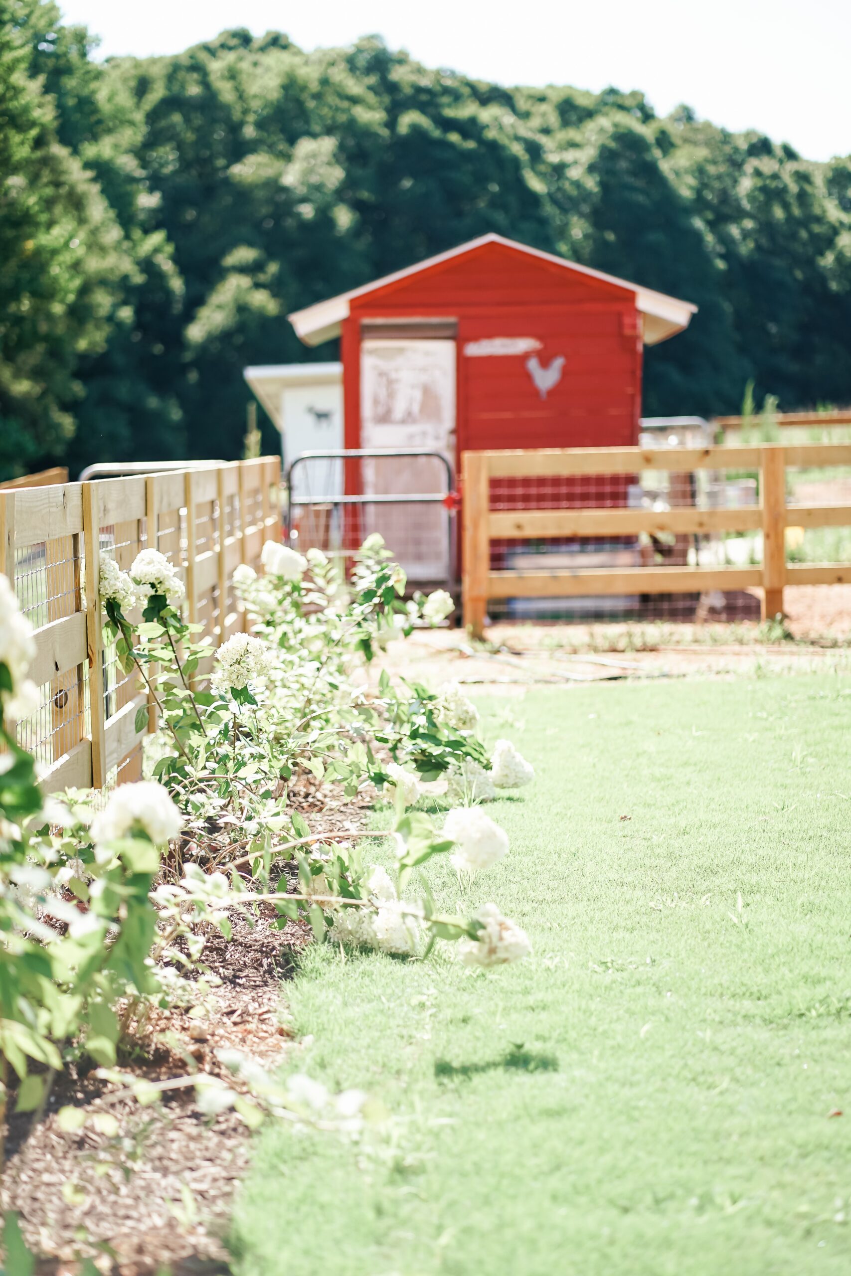 poultry housing