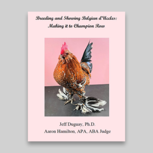 Breeding and Showing Belgian d’Uccles: Making it to Champion Row
