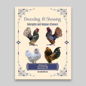 Breeding and Showing Sebrights and Belgian d’Anvers