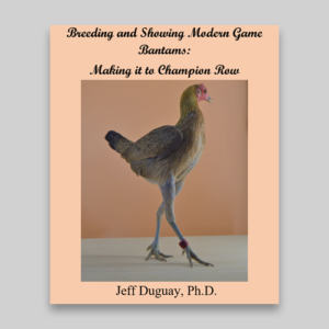 Breeding and Showing Modern Game Bantams