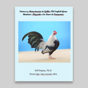 Crianza y Demostracion de Gallos Old English Game Bantams: Llegando a la Linea de Campeones
